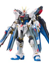 RG 1/144 #14 Strike Freedom Gundam