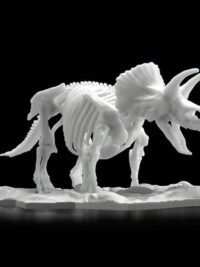 Dinosaur Limex Skeleton Triceratops